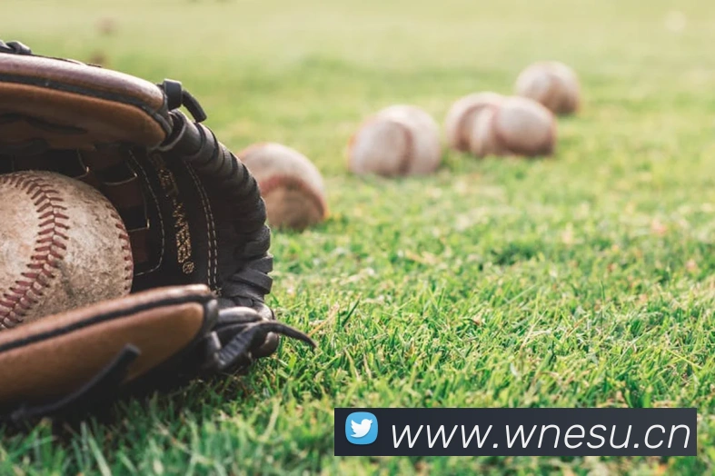 乐鱼在线网页版APP 体育赛事宣传图